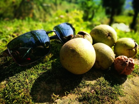 綠色食品干果核桃
