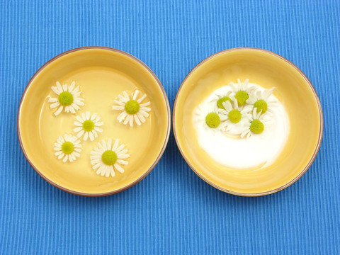 在藍(lán)色背景上的陶瓷碗水和霜洋甘菊花