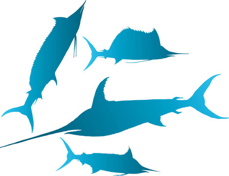 馬林魚，旗魚向量；