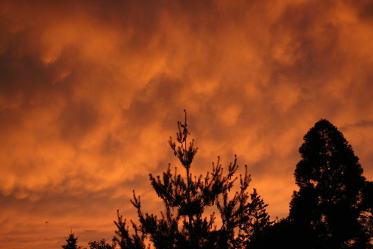 夕陽(yáng)風(fēng)暴