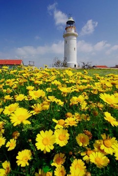 燈塔在Paphos