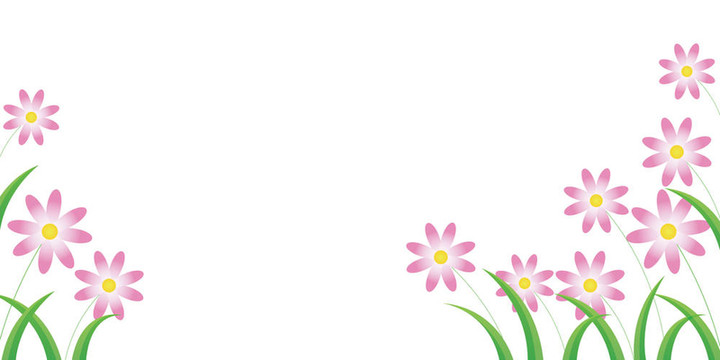 雛菊花