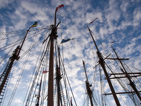 帆船的桅桿木tallships