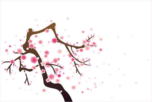 梅花