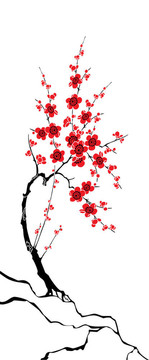 櫻花的插圖