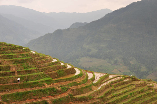 Longji梯田；桂林；中國
