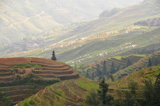 Longji梯田；桂林；中國