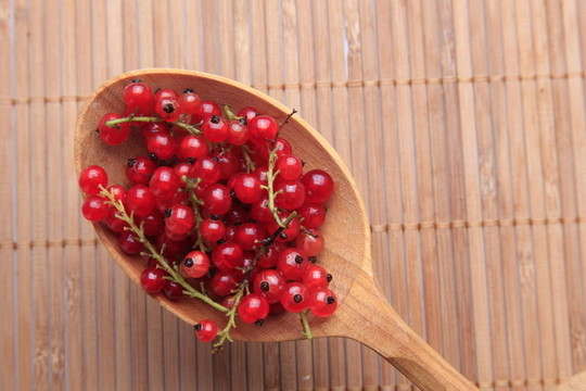 在木勺子紅醋栗