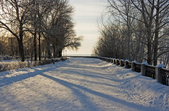 冬季公園