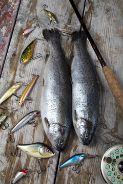 魚和捕魚