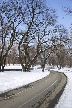 通路在雪