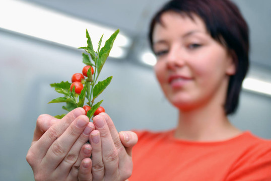 美麗女孩控股年輕工廠