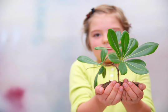 小女孩抱著小植物