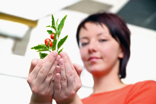 美麗女孩控股年輕工廠