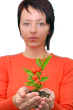 美麗女孩控股年輕工廠