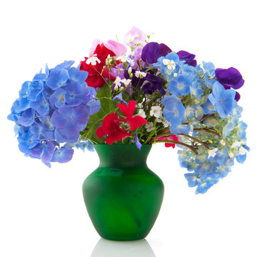 花園里的花