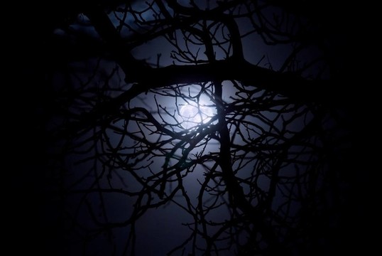 幽靈般的午夜的月光