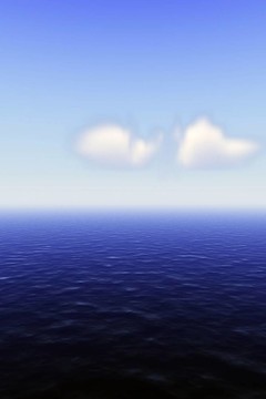 完美的海II
