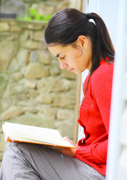 BookReader