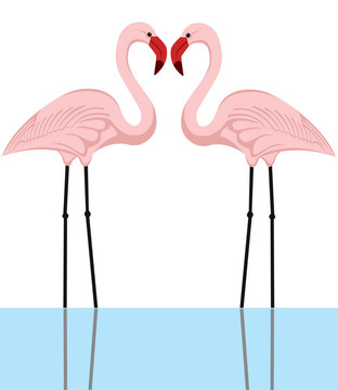 火烈鳥夫婦
