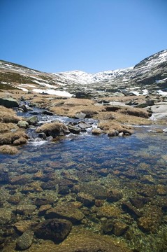 在格雷多斯山黃金湖