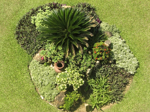 斯里蘭卡的花園安排