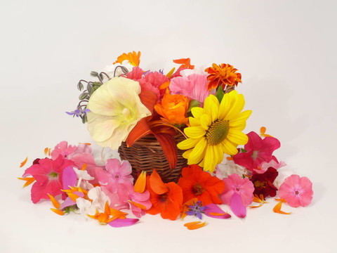 flowerpower