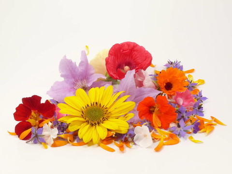 flowerpower
