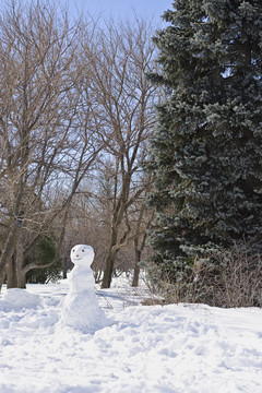 公園里的雪人
