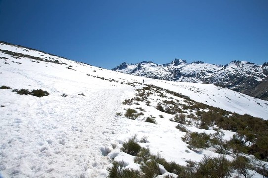 雪的路徑