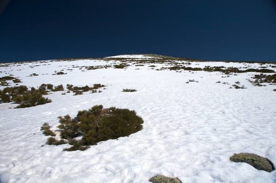 雪坡