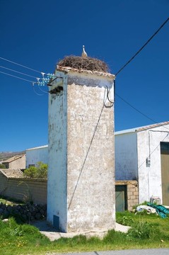鸛巢塔