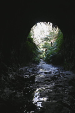 展望隧道入口