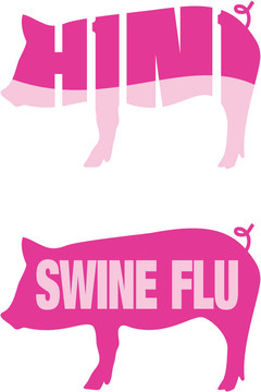 豬流感H1N1病毒的圖標(biāo)