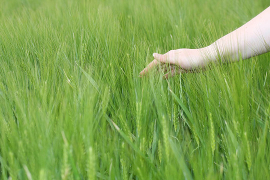極樂世界
