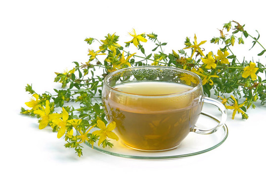 茶圣約翰草03