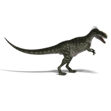 恐龍Monolophosaurus