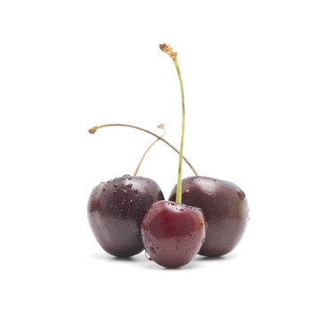 櫻桃