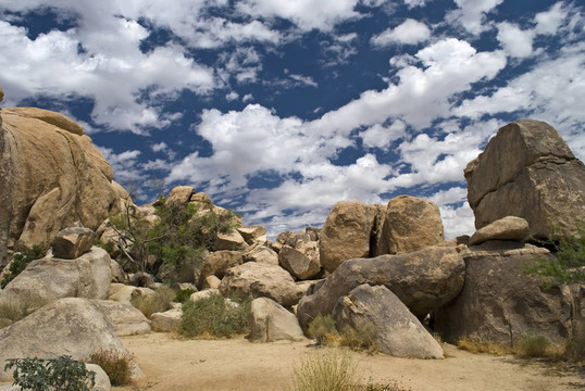 巨石Joshua Tree