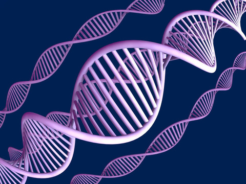 DNA
