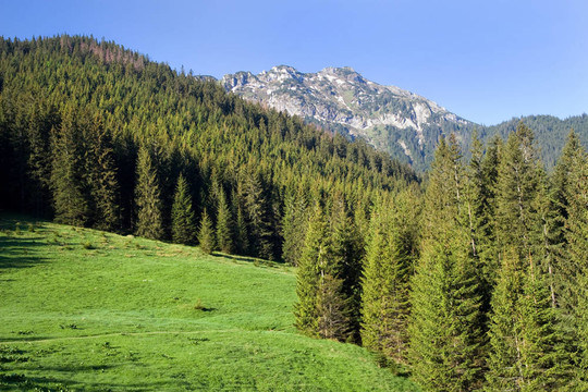 塔特拉山的風(fēng)景