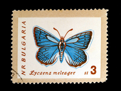 Lycaena meleager郵票