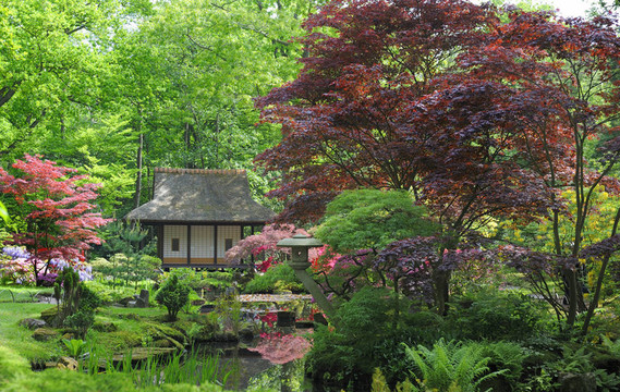 日本式庭園
