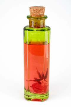 白色背景上的香水瓶