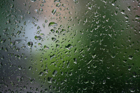 雨