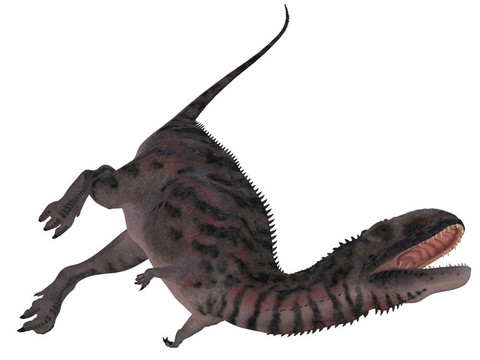 瑪君龍crenatissimus 3D恐龍