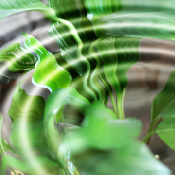 水