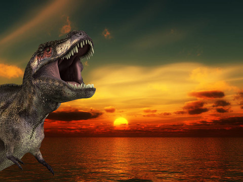 T Rex Sunrise
