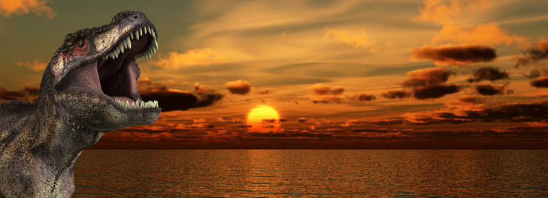 T Rex Sunrise