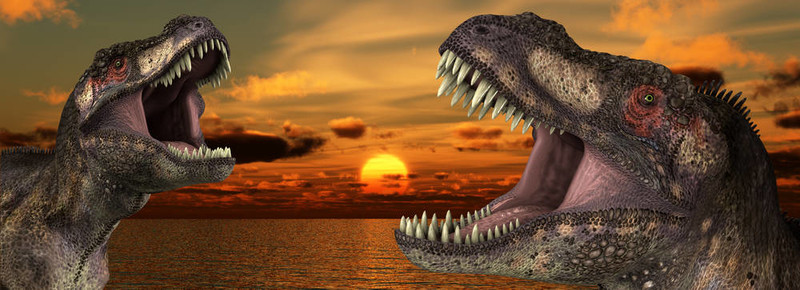 T Rex Sunrise